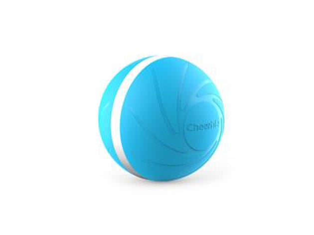 Wicked Ball: Interactive Dog Toy for $42