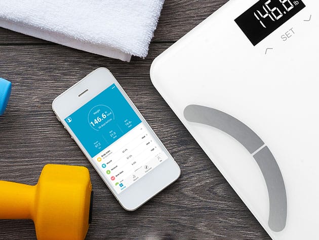 Vitalis Body Fat Scale for $20