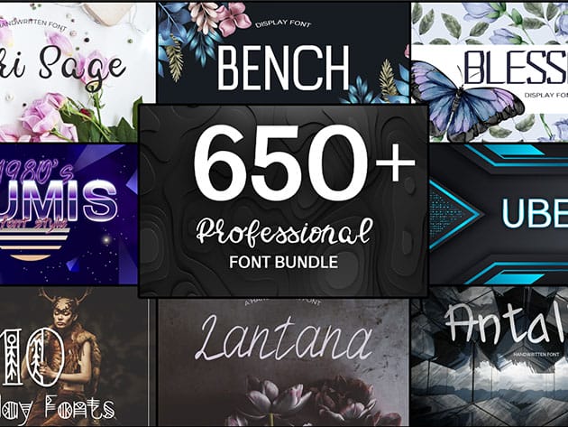 650+ Professional Font Bundle for $29