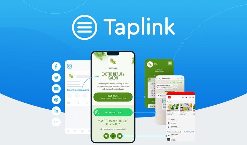 Taplink Lifetime Deal for $49