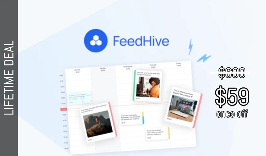 Feedhive Lifetime Deal for $59